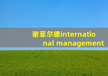 谢菲尔德international management